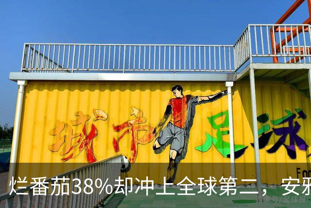 烂番茄38%却冲上全球第二，安雅新片打了谁的脸
